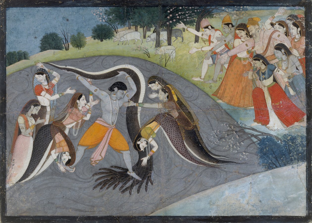Krishna Subduing Kaliya, the Snake Demon: Folio from a Bhagavata Purana Series , ca. 1785.  द्वारा मनाकू और नैनसुख के बाद पहली पीढ़ी।