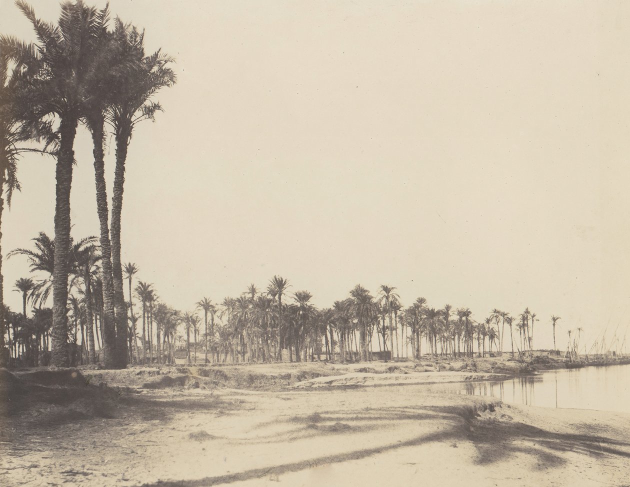 एल-नसेराह, डैटिएर्स, राइव्स डू निल एट बारक्यूस, 1851-52, 1853-54 में छपा। द्वारा फेलिक्स टाइनार्ड