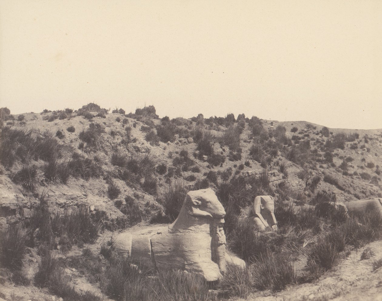 कर्णक थेब्स, मानव सिर और राम के सिर के साथ स्फिंक्स, Y, 1851-52 में, 1853-54 मुद्रित। द्वारा फेलिक्स टाइनार्ड