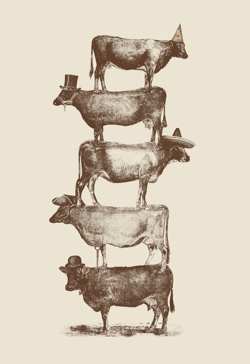 गाय गाय नट द्वारा फ्लोरेंट बोडार्टे