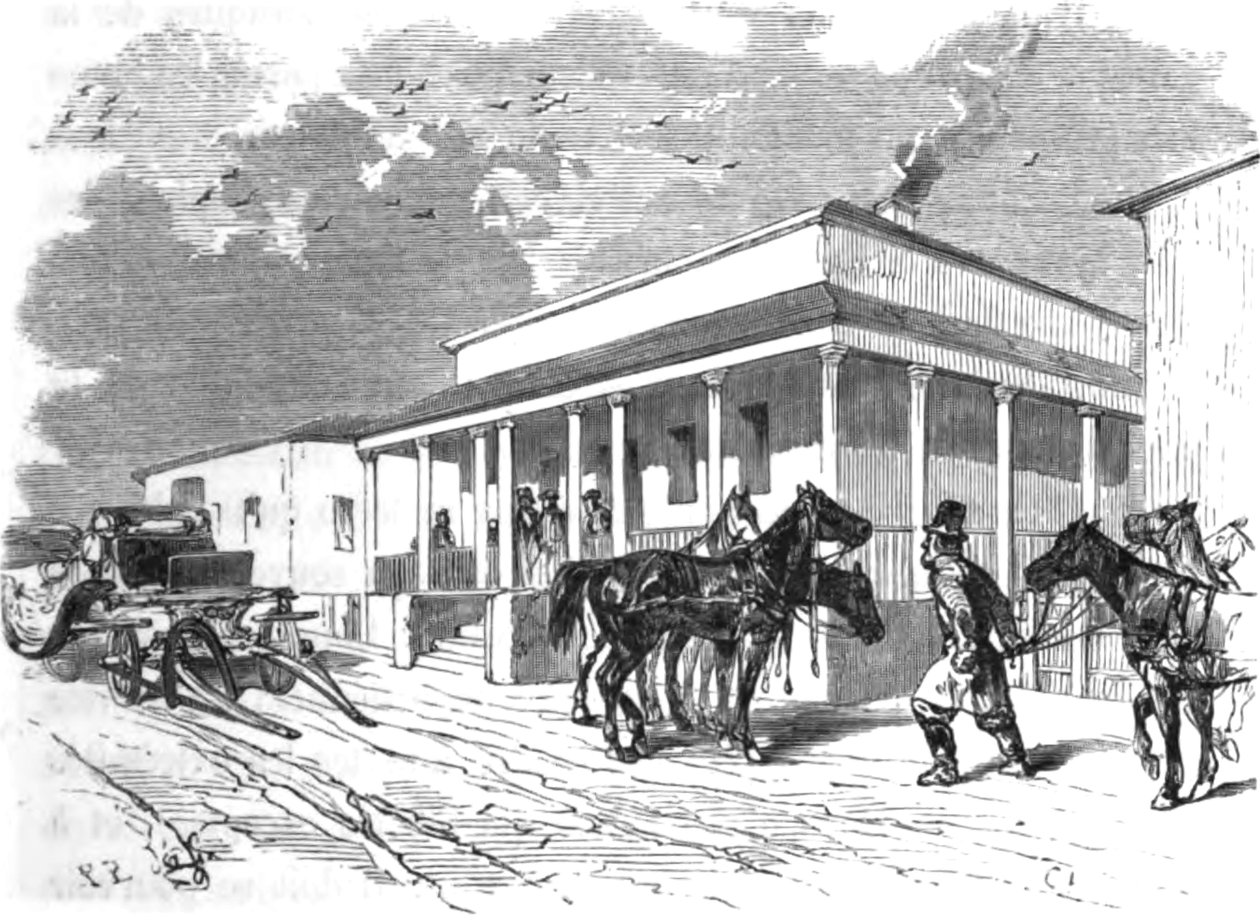 पुष्पमय गिले। काकेशस और क्रीमिया पर पत्र। 1859 द्वारा पुष्पमय गिले