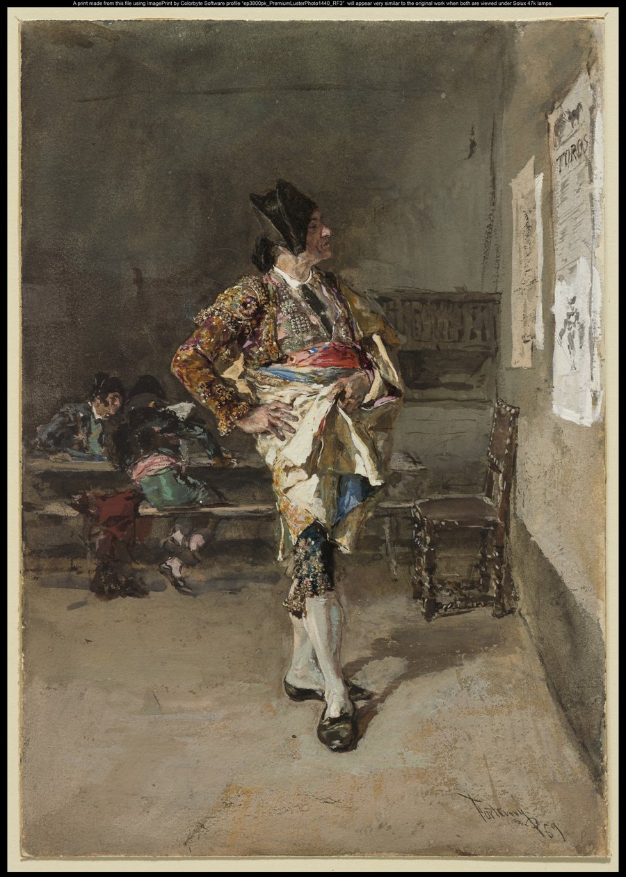 टॉरेडोर, 1869 द्वारा Fortuny y Carbó