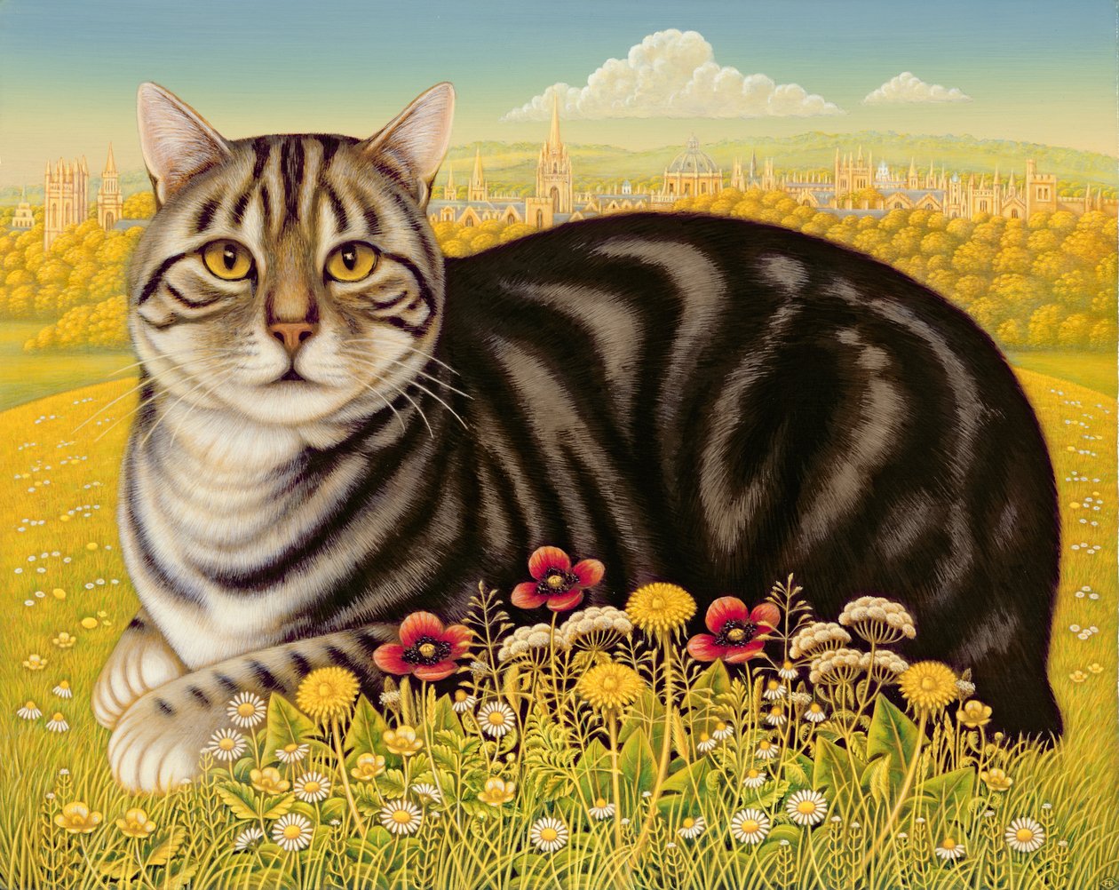 ऑक्सफोर्ड कैट, 2001 (पैनल पर तेल और तड़का) द्वारा फ्रांसिस ब्रूमफील्ड