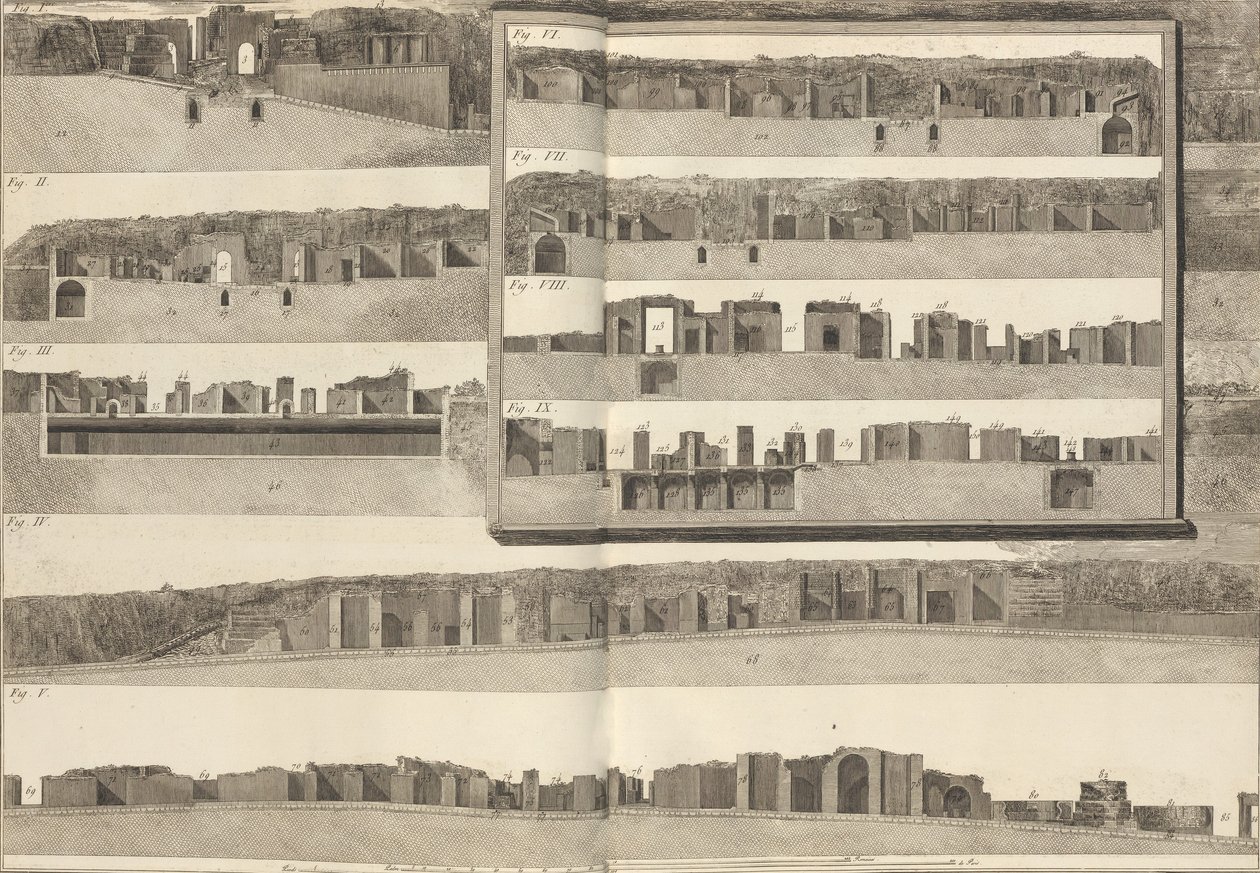 क्रॉस-सेक्शन, जो पोम..., 1804 की योजना में दिखाए गए भवनों के विभिन्न पहलुओं को दिखाते हैं। द्वारा फ्रांसेस्को पिरनेसी