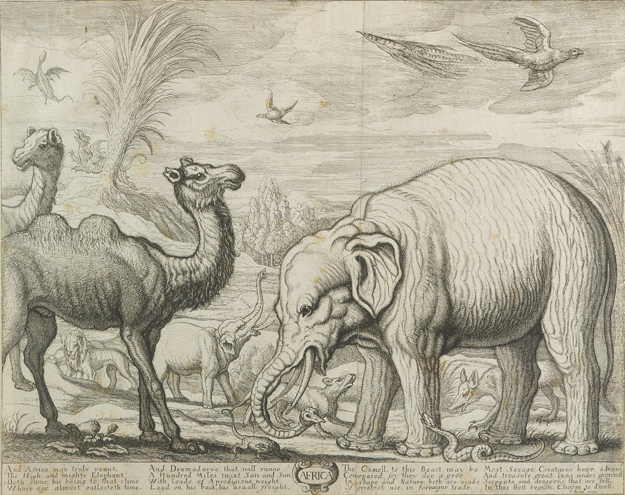 अफ्रीका, 1672 द्वारा फ्रांसिस बार्लो