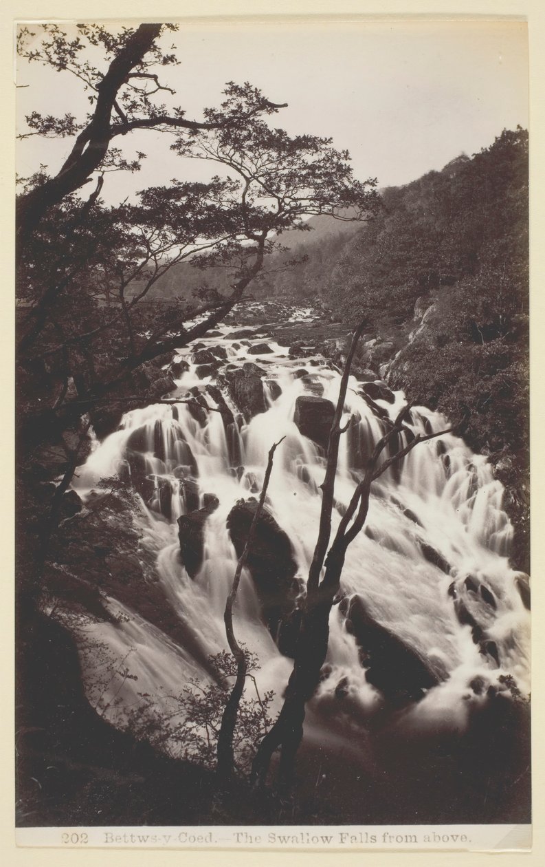 बेट्ट्स-वाई कोएड, द स्वॉलो फॉल्स फ्रॉम एबव, 186094। द्वारा फ्रांसिस बेडफोर्ड