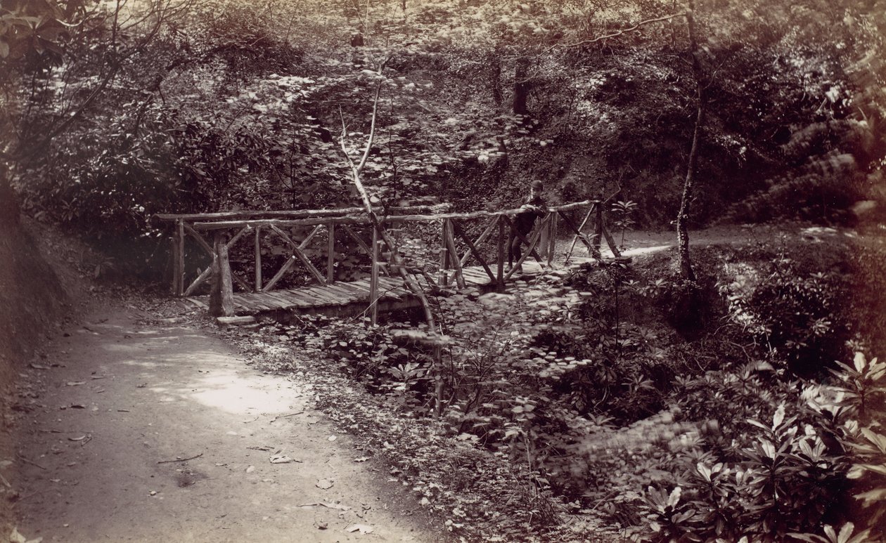कोल्विन बे। लकड़ी में देहाती पुल, 1870। द्वारा फ्रांसिस बेडफोर्ड