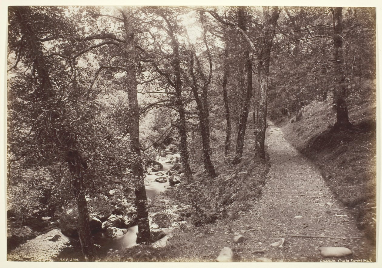 डोलगेली, टोरेंट वॉक में देखें, 186094। द्वारा फ्रांसिस बेडफोर्ड