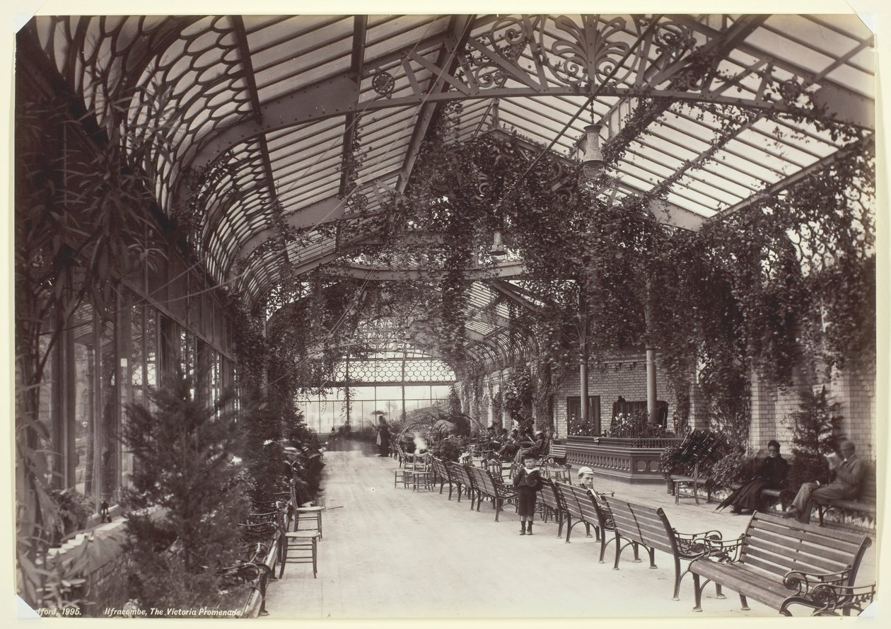 Ilfracombe, विक्टोरिया प्रोमेनेड, 186094। द्वारा फ्रांसिस बेडफोर्ड