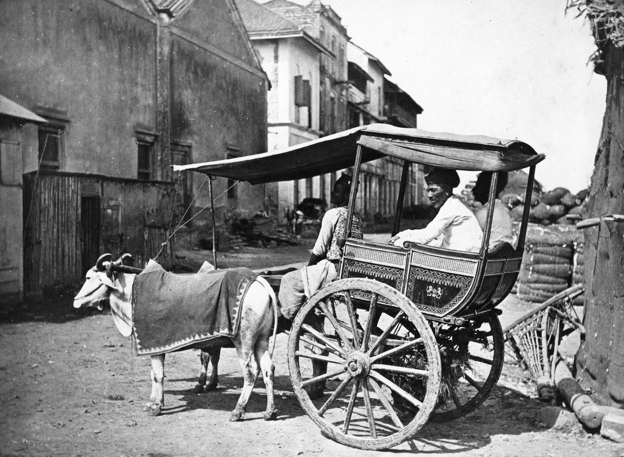 बॉम्बे हैकरी, सी .1875 द्वारा फ्रांसिस फ्रिथ