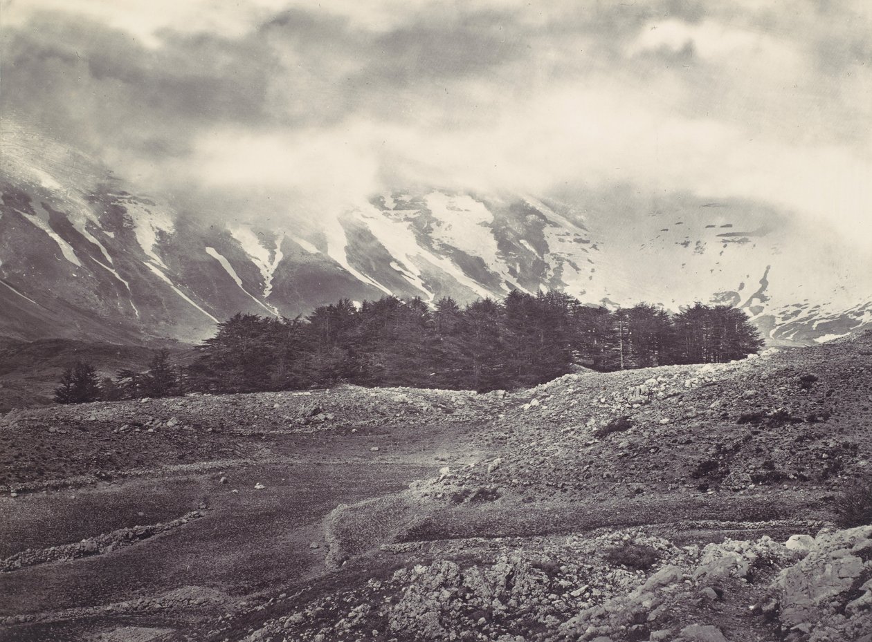 लेबनान के देवदारों का दूर का दृश्य, सीए। 1857. द्वारा फ्रांसिस फ्रिथ