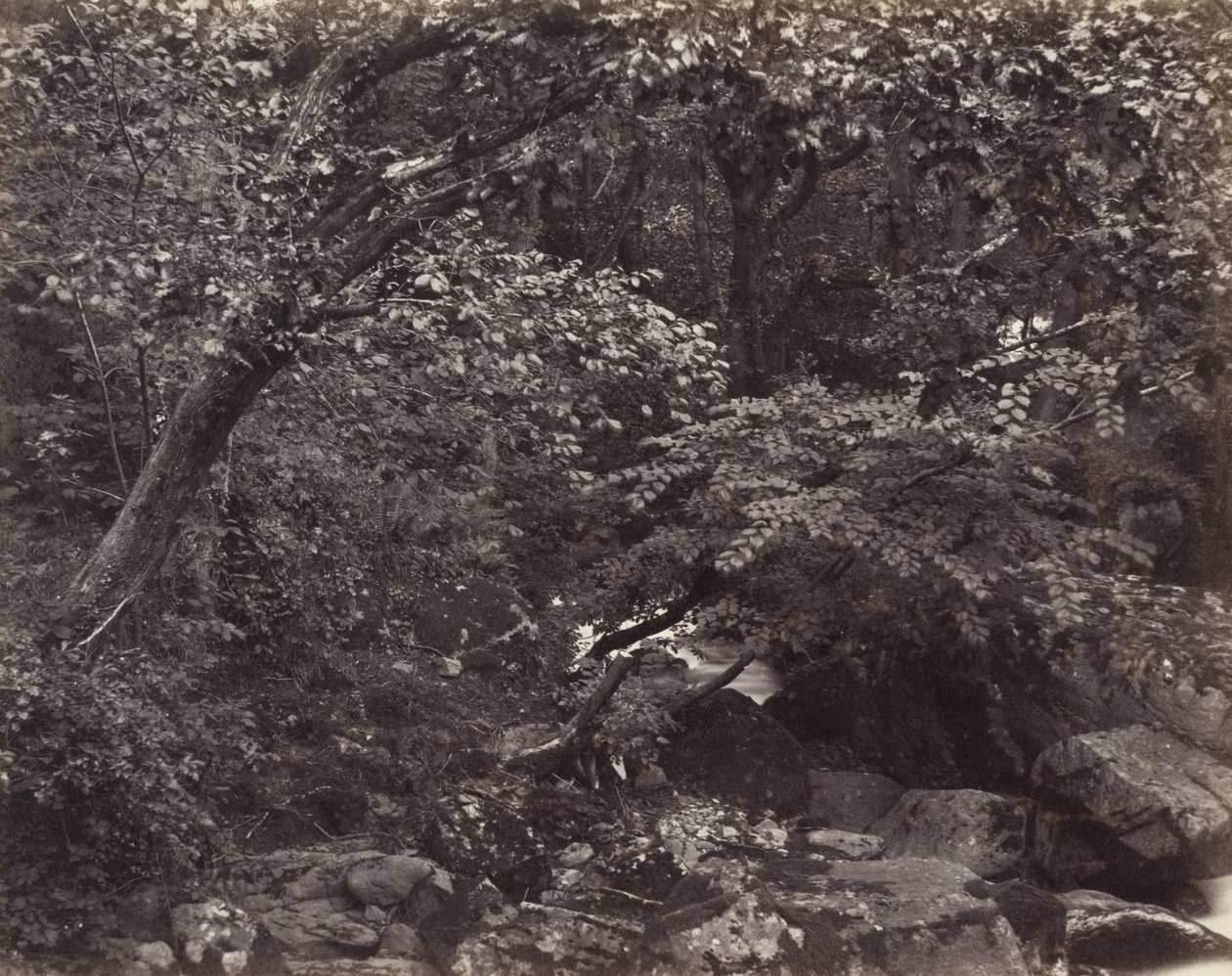 लिनमाउथ, 1860 के दशक में ग्लेन द्वारा फ्रांसिस फ्रिथ