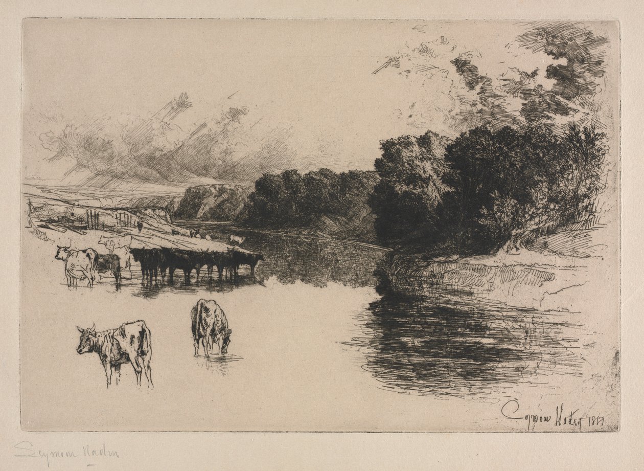 एक लंकाशायर नदी, 1881। द्वारा फ्रांसिस सीमोर हैडेन