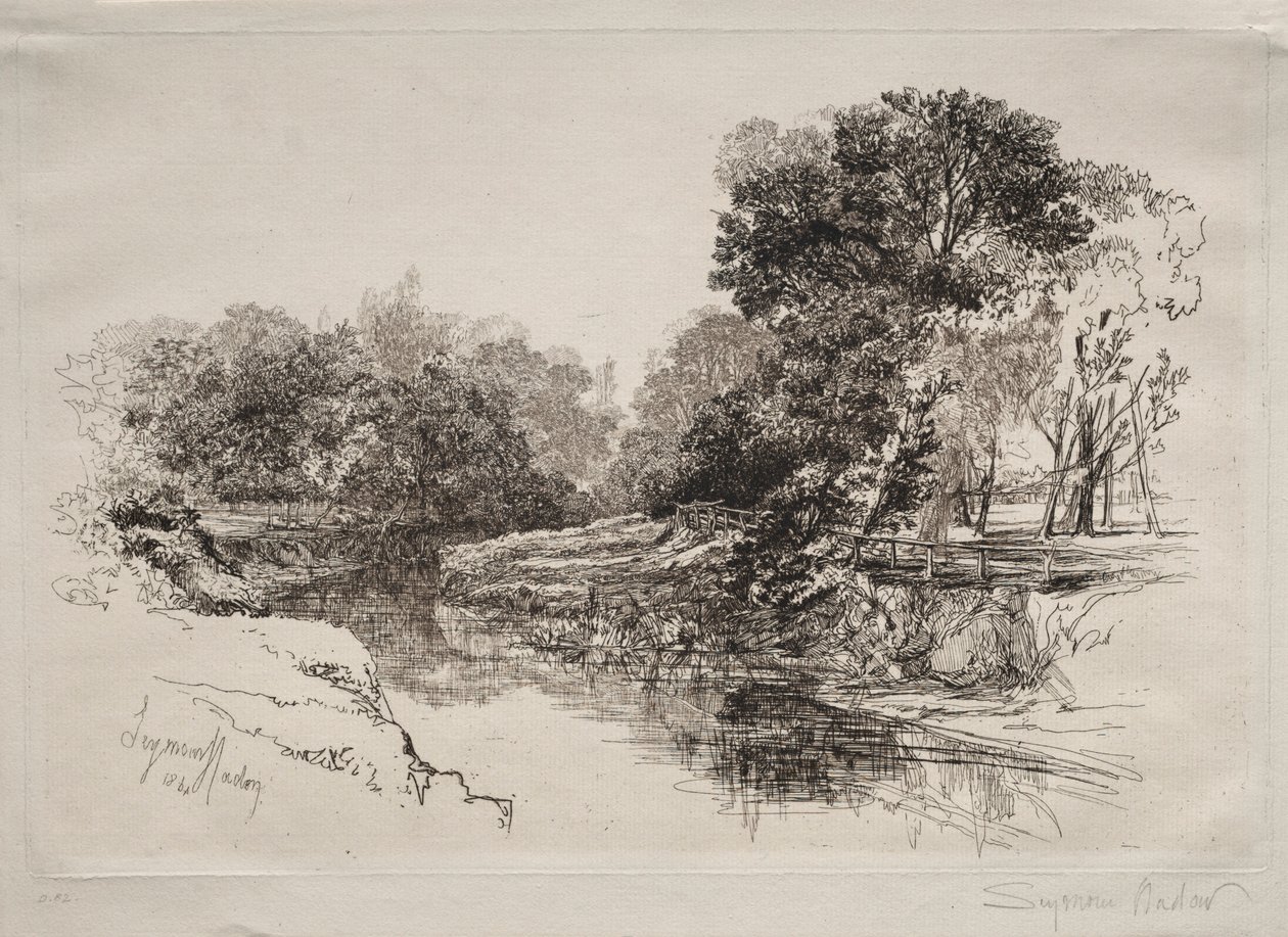 आयरलैंड में एक नदी, 1864। द्वारा फ्रांसिस सीमोर हैडेन