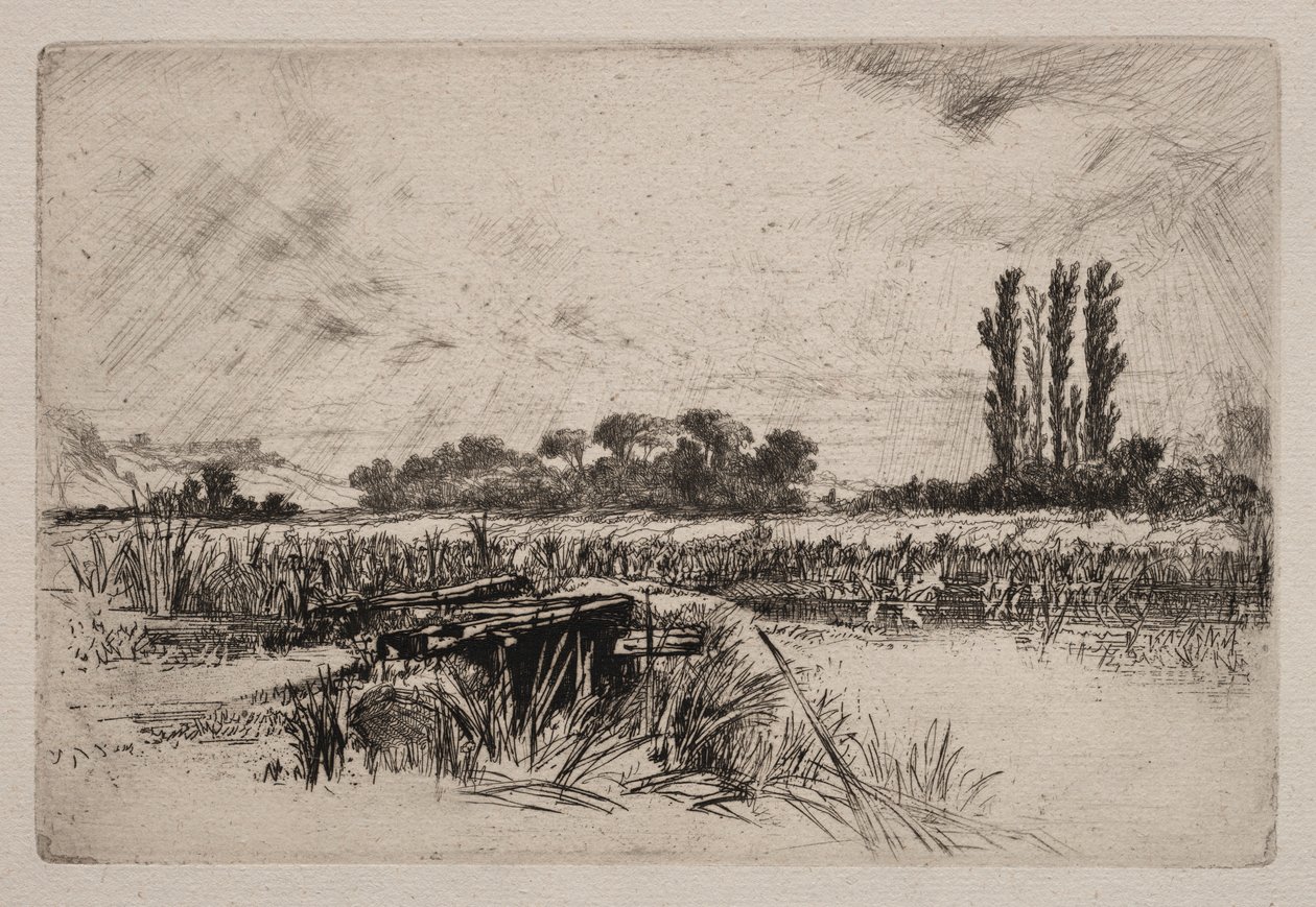 ए वाटर मीडो, 1859। द्वारा फ्रांसिस सीमोर हैडेन