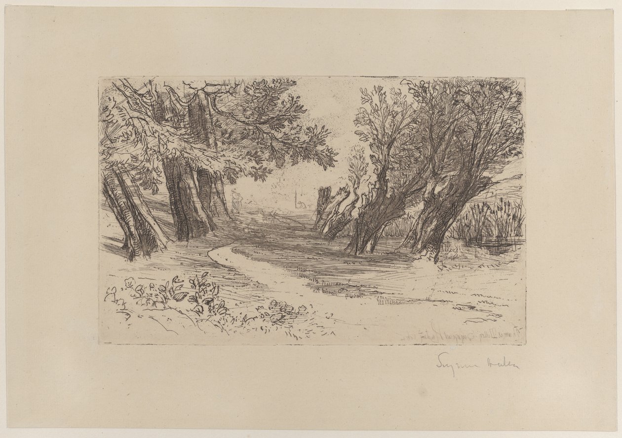 द लवर्स वॉक, नंबर I, 1864., 1864। द्वारा फ्रांसिस सीमोर हैडेन