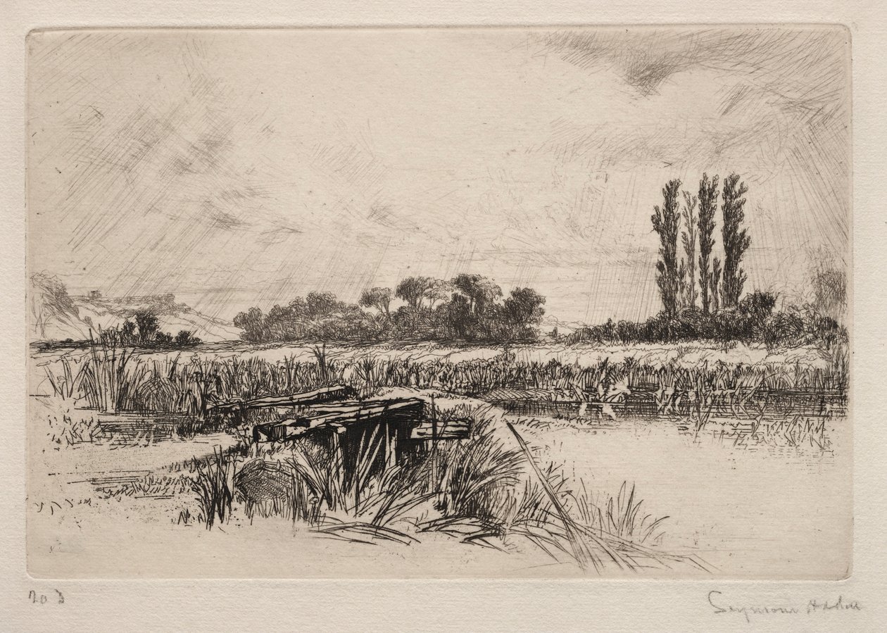 जल मैदानी, 1859। द्वारा फ्रांसिस सीमोर हैडेन