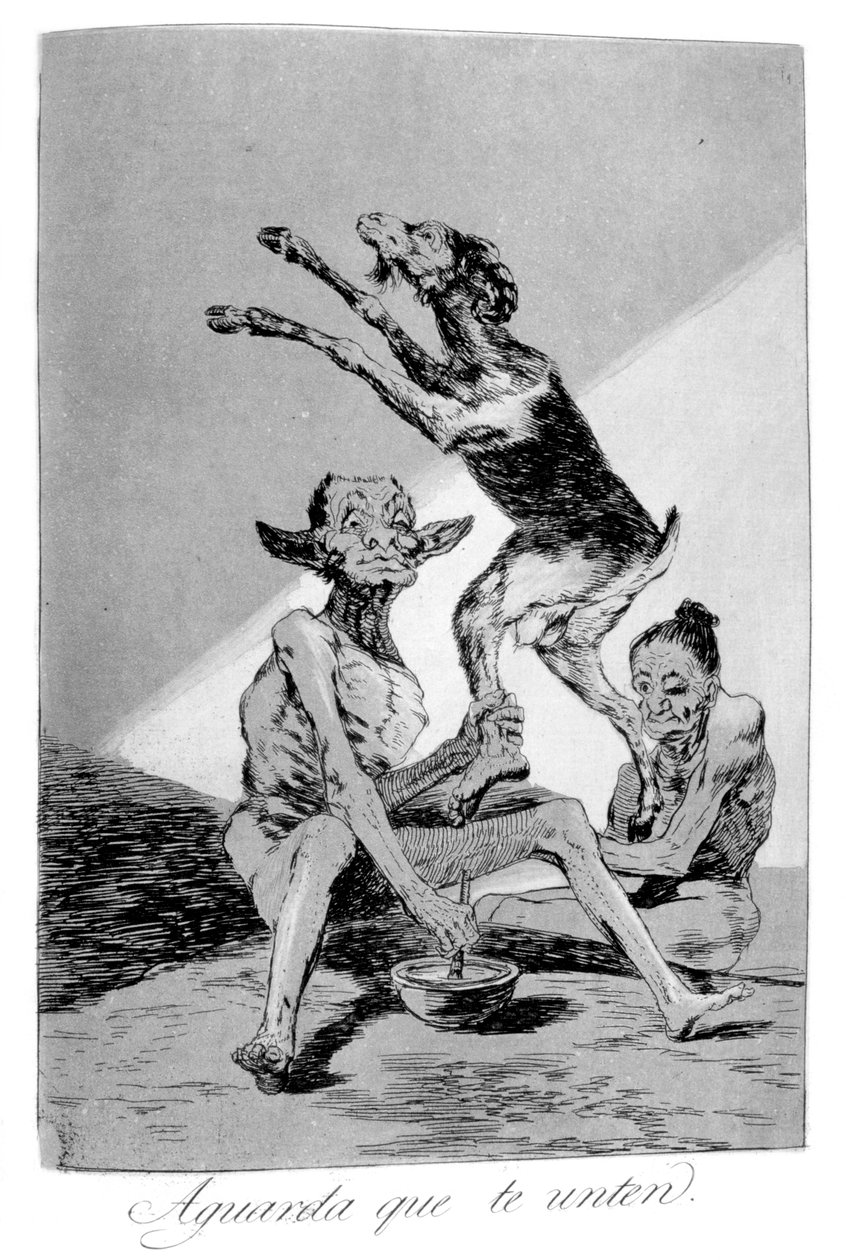जब तक आपका अभिषेक हुआ, 1799 तक प्रतीक्षा करें द्वारा फ़्रांसिस्को डी गोया
