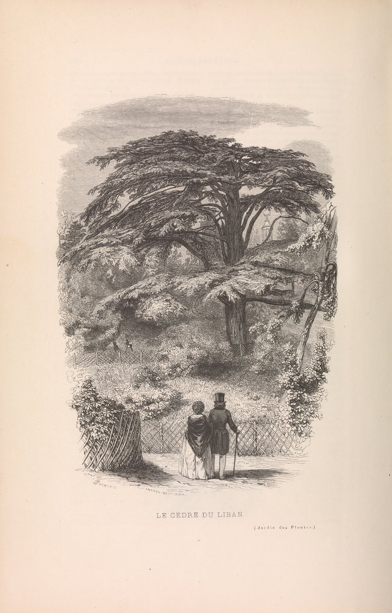 बॉटनिकल गार्डन, डिस्क्रिप्शन एंड मैनर्स ऑफ़ मैमल्स, 1842। द्वारा फ्रेंकोइस बोइटार्ड