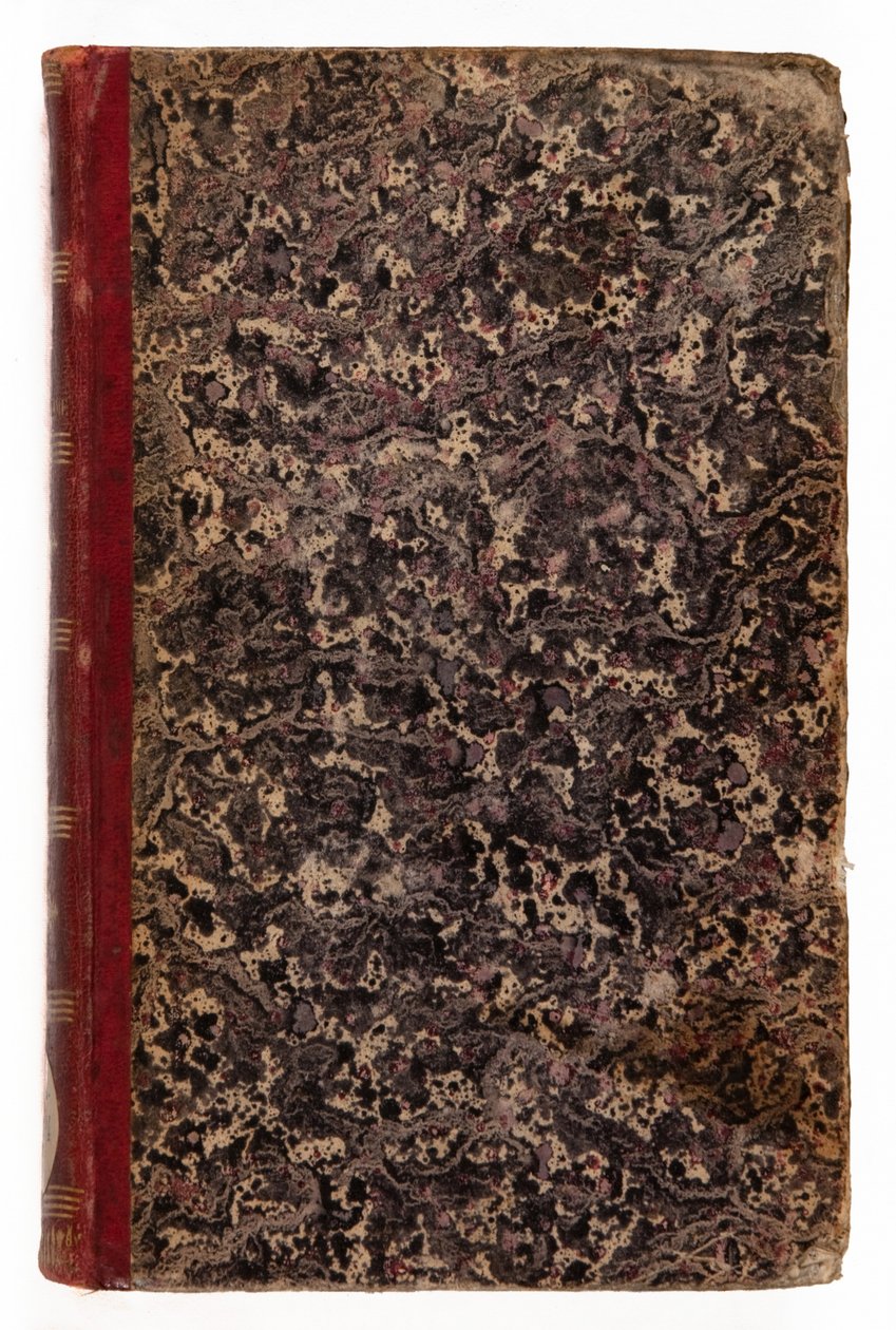 जीनियस डु क्रिश्चियनिज़्म, 1802 (चमड़ा और मारबल पेपर) द्वारा फ्रेंकोइस रेने वेकोमटे डे चेटेउब्रिएंड