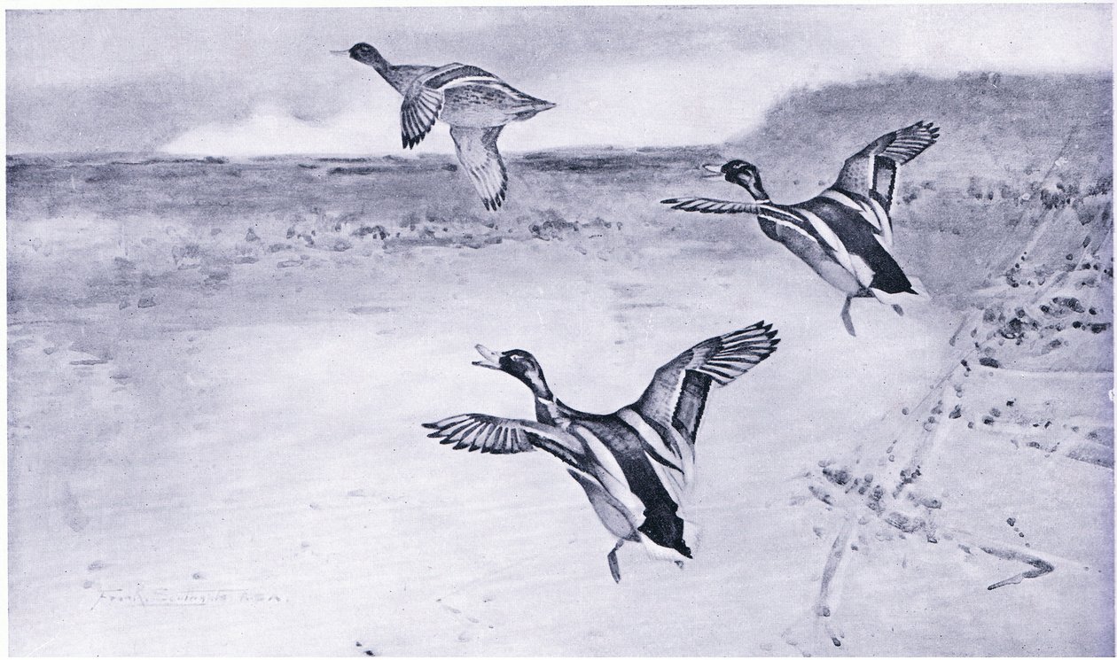 समुद्र मे द्वारा फ्रैंक साउथगेट