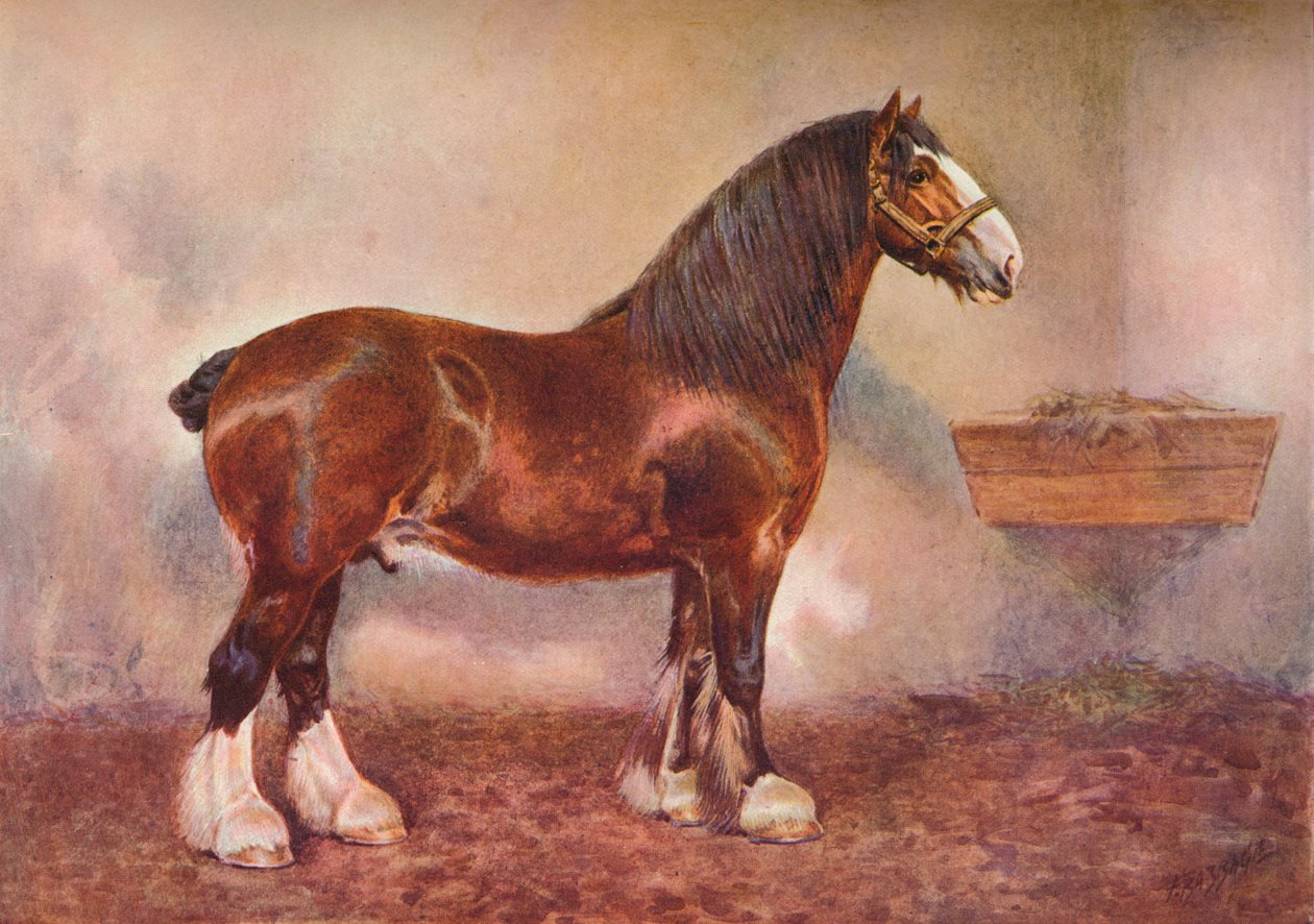 क्लाइडडेल स्टालियन प्रिंस ऑफ एल्बियन, c1900 c1910 द्वारा फ्रैंक बैबेज