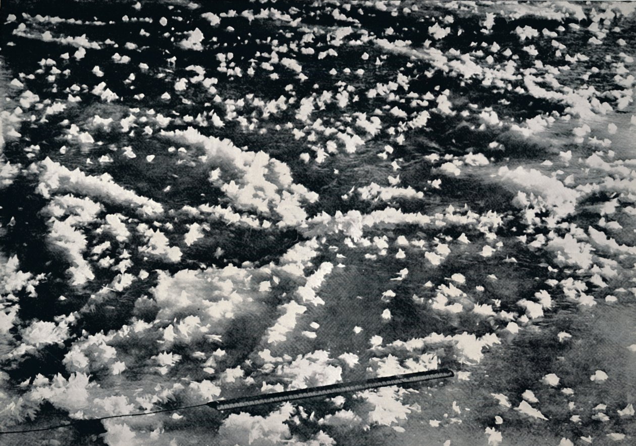 1912, 1913 को नव निर्मित समुद्री बर्फ पर बर्फ के फूल द्वारा फ्रैंक देबनेहम