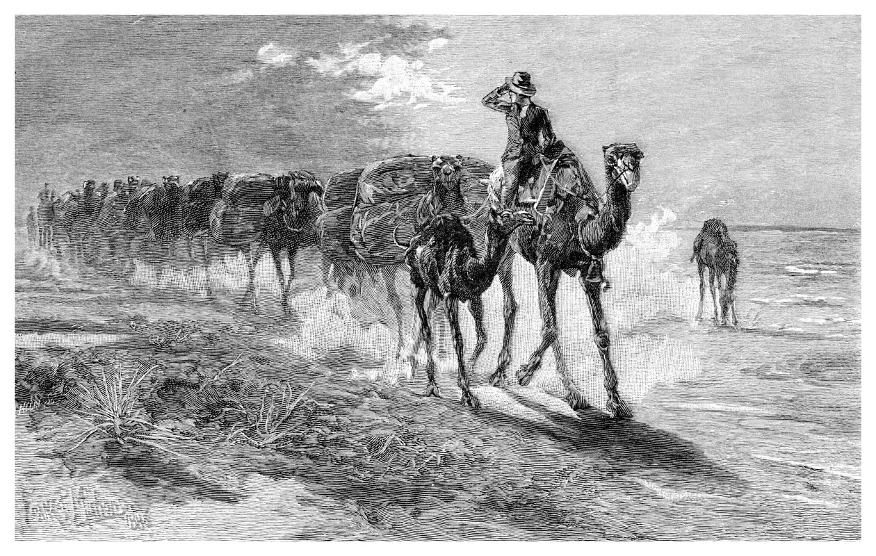 ऊँट ले जाने वाले ऊँट, 1886। द्वारा फ्रैंक पी। महोनी