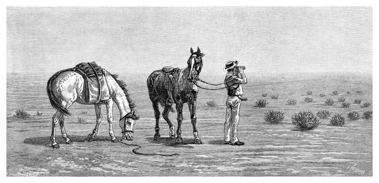कुछ भी नहीं, दृष्टि, 1886 में। द्वारा फ्रैंक पी। महोनी