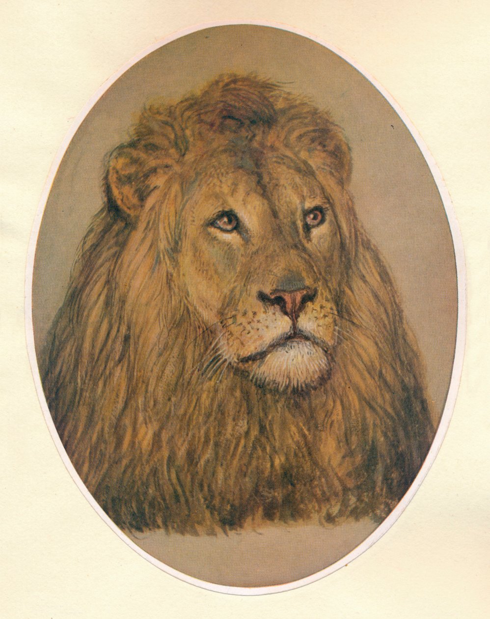 लायंस हेड, सी 1896 द्वारा फ्रैंक पैटोन