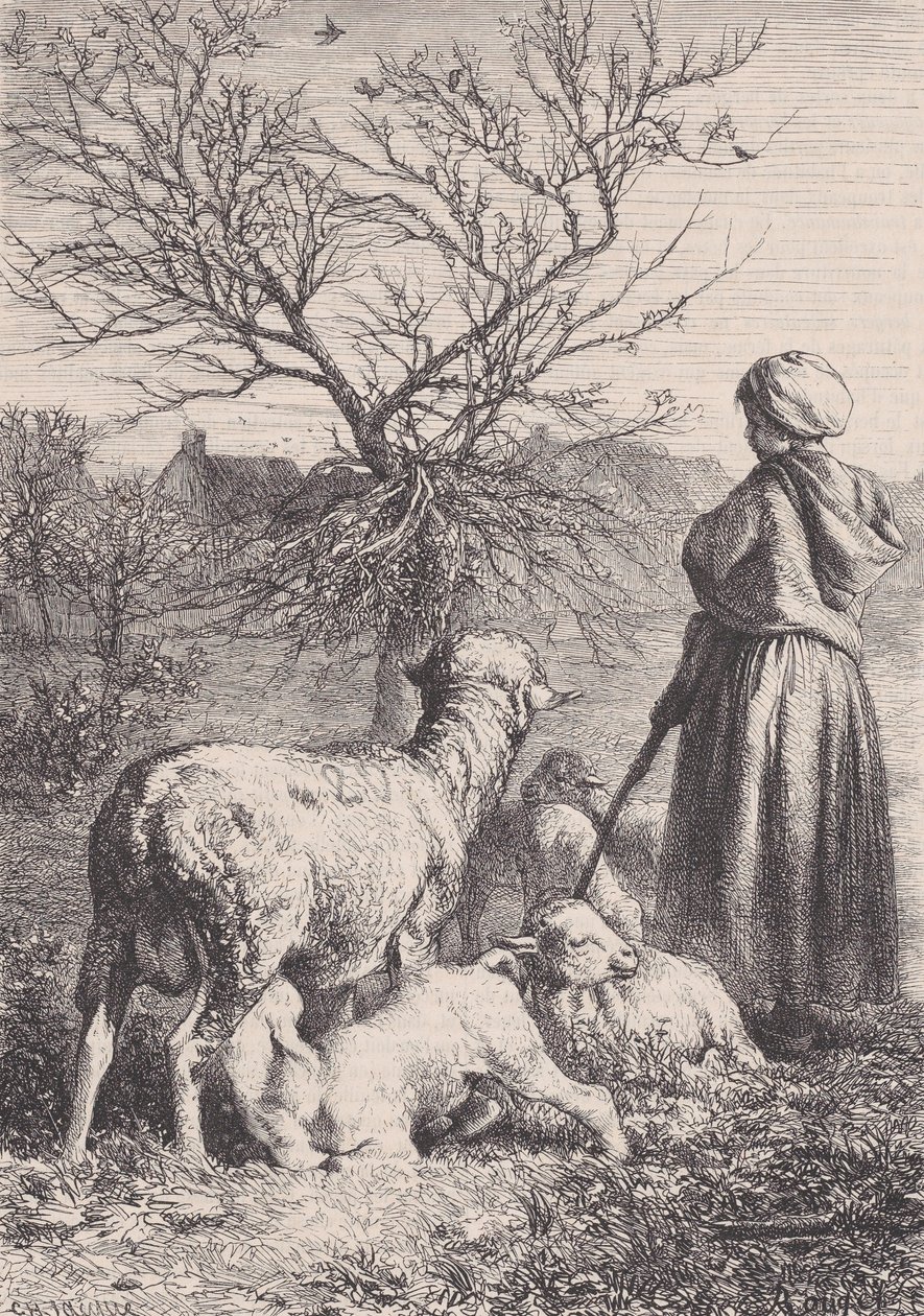 एक चरवाहा, सीए। 1852. द्वारा फ़्राँस्वा रौगेट
