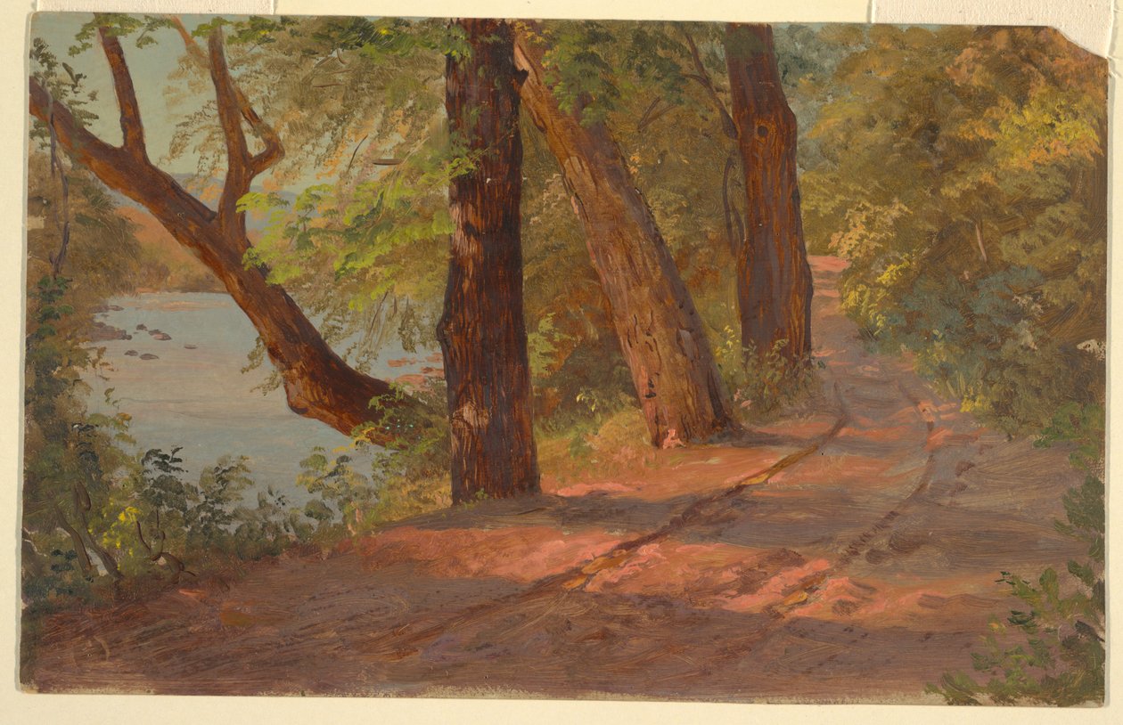 उत्तरी अमेरिकी से परिदृश्य (एक झील के किनारे सड़क) द्वारा फ्रेडरिक एडविन चर्च