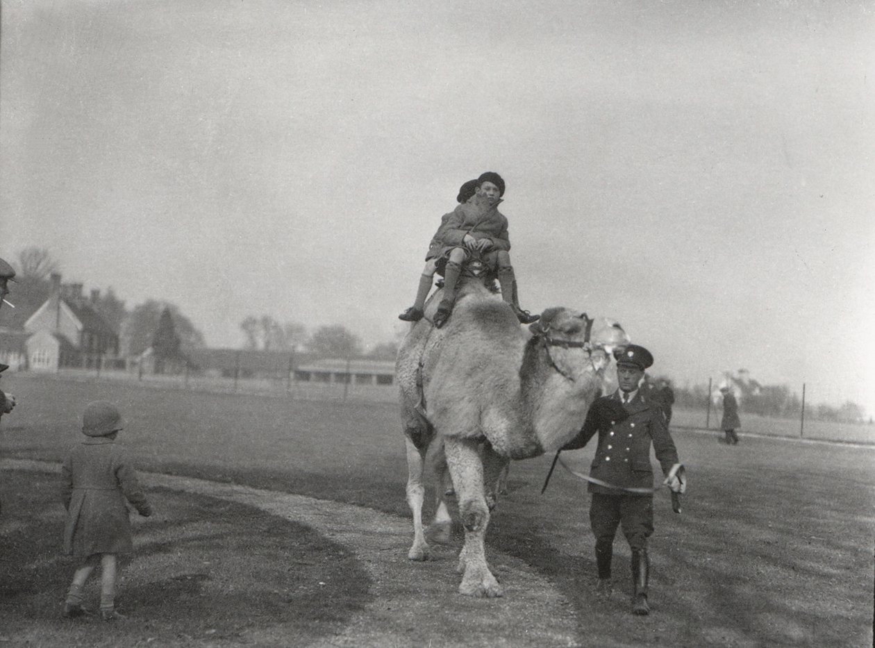 मार्च 1932 में ZSL व्हिपसनेड की सवारी के लिए बच्चों का एक जोड़ा लेकर एक ऊंट ऊंट द्वारा फ्रेडरिक विलियम बॉन्ड