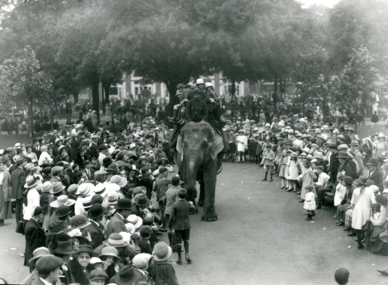 दर्शकों की भीड़ लंदन चिड़ियाघर, अगस्त बैंक अवकाश, 1922 में एक हाथी की सवारी देखती है द्वारा फ्रेडरिक विलियम बॉन्ड