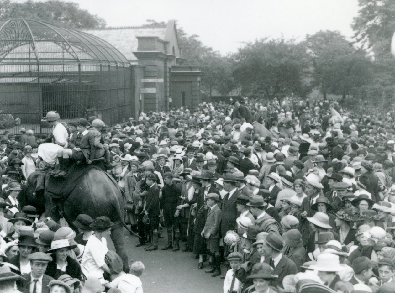 दर्शकों की भीड़ लंदन चिड़ियाघर, अगस्त बैंक अवकाश, 1922 में एक हाथी की सवारी देखती है द्वारा फ्रेडरिक विलियम बॉन्ड