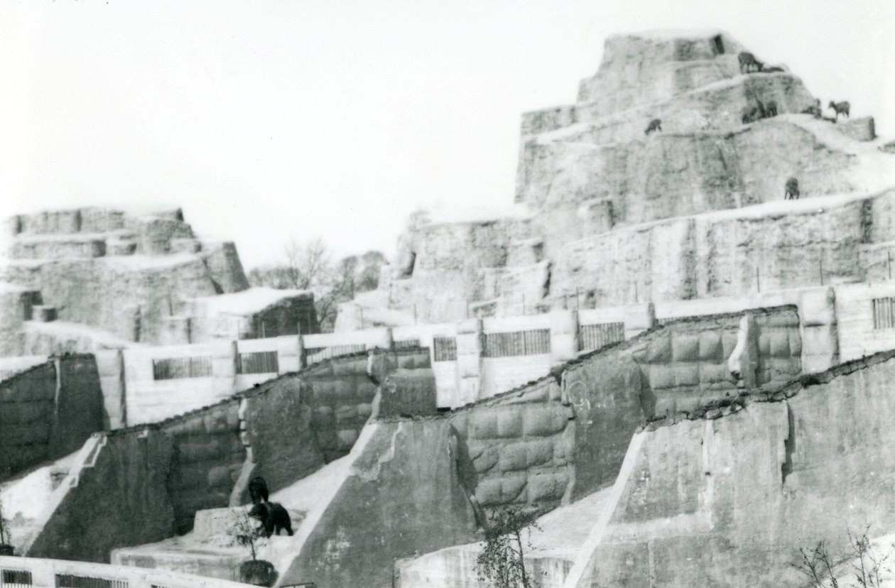 मापिन टैरेस, लंदन चिड़ियाघर, 1922 द्वारा फ्रेडरिक विलियम बॉन्ड