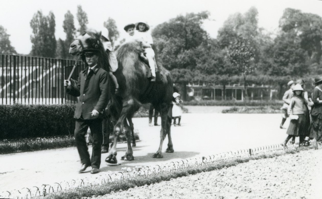 लंदन चिड़ियाघर में अगस्त 1922 को एक कीपर के नेतृत्व में बैक्ट्रियन ऊंट की सवारी करते दो युवा आगंतुक द्वारा फ्रेडरिक विलियम बॉन्ड