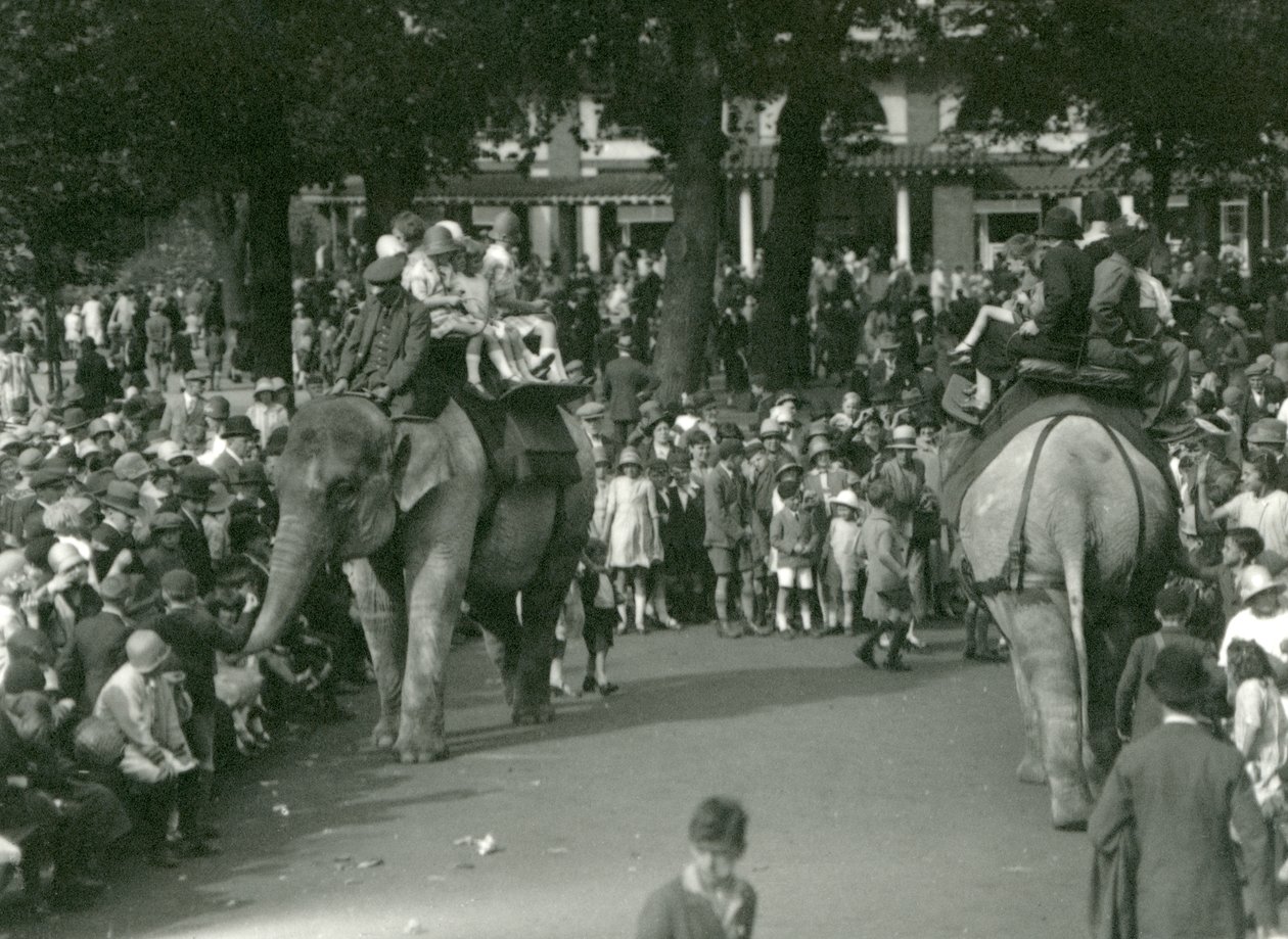 अगस्त 1926 में लंदन चिड़ियाघर में दर्शकों की भीड़ द्वारा देखे गए दो एशियाई हाथियों के साथ हाथी की सवारी (b/w photo) द्वारा फ्रेडरिक विलियम बॉन्ड