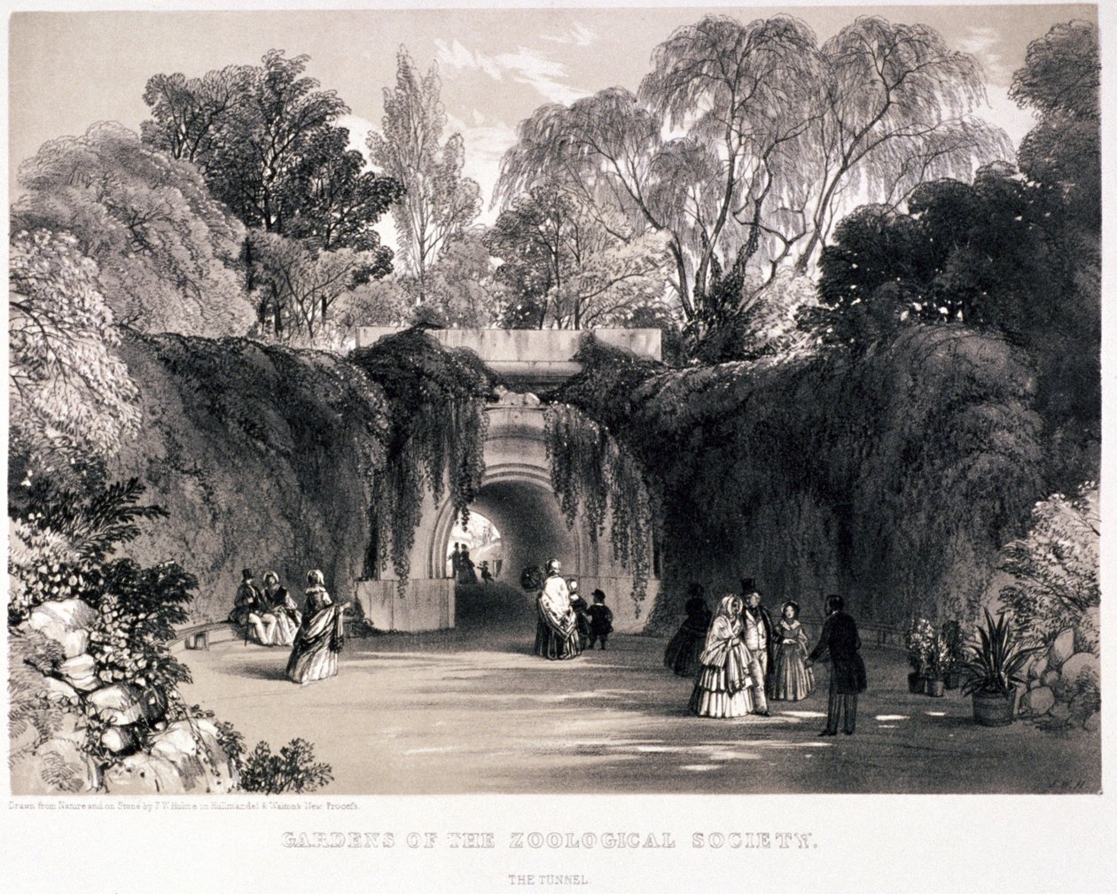 जूलॉजिकल गार्डन, रीजेंट पार्क, मैरीलेबोन, लंदन, c1840 द्वारा फ्रेडरिक विलियम हुल्मे
