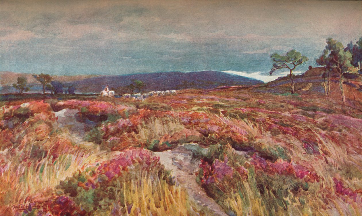 हीथ लिटचेट मिनस्टर पर, c1904 द्वारा फ्रेडरिक विलियम न्यूटन व्हाइटहेड