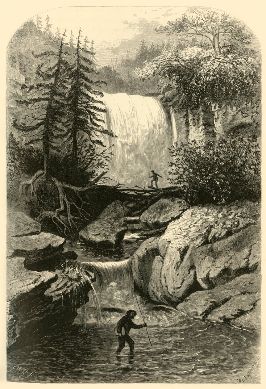 ब्लैकवाटर का जलप्रपात, 1872। द्वारा फ्रेडरिक विलियम क्वार्टली