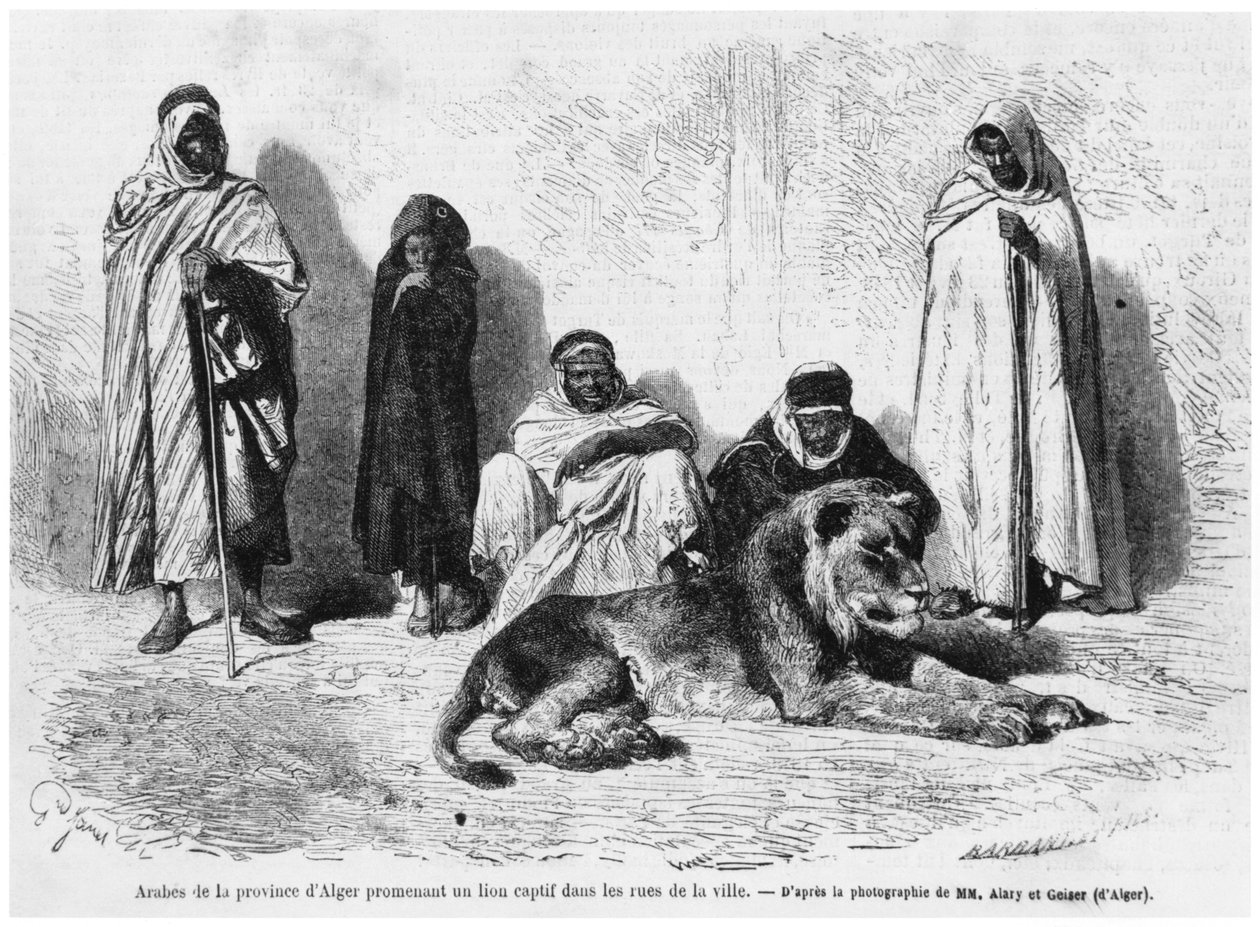 अल्जियर्स प्रांत के अरबी पुरुषों का समूह, ले मोंडे इलस्ट्रे, जनवरी 1864 से शहर की सड़कों पर एक कैद शेर के साथ घूम रहा है द्वारा फ्रेंच फोटोग्राफर