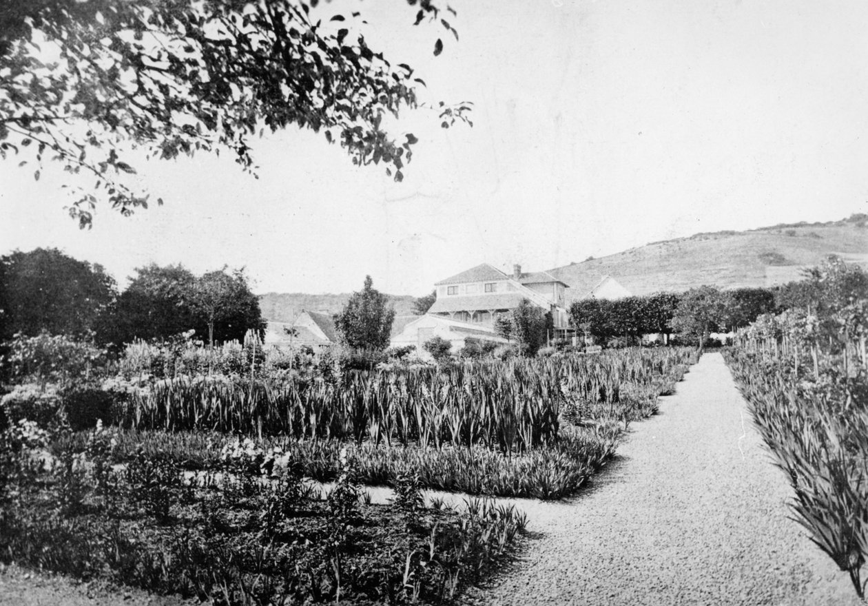 मोनेट्स गार्डन, गिवरनी, c.1908 द्वारा फ्रेंच फोटोग्राफर
