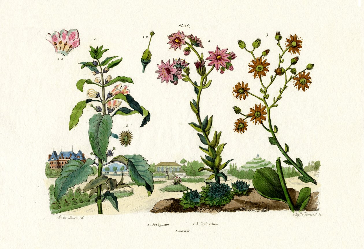 ब्लडस्टोन, 1833-39 द्वारा फ्रेंच स्कूल