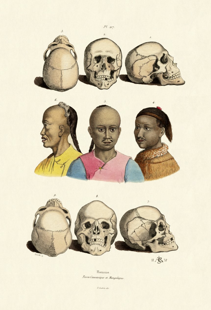 कोकेशियान, 1833-39 द्वारा फ्रेंच स्कूल