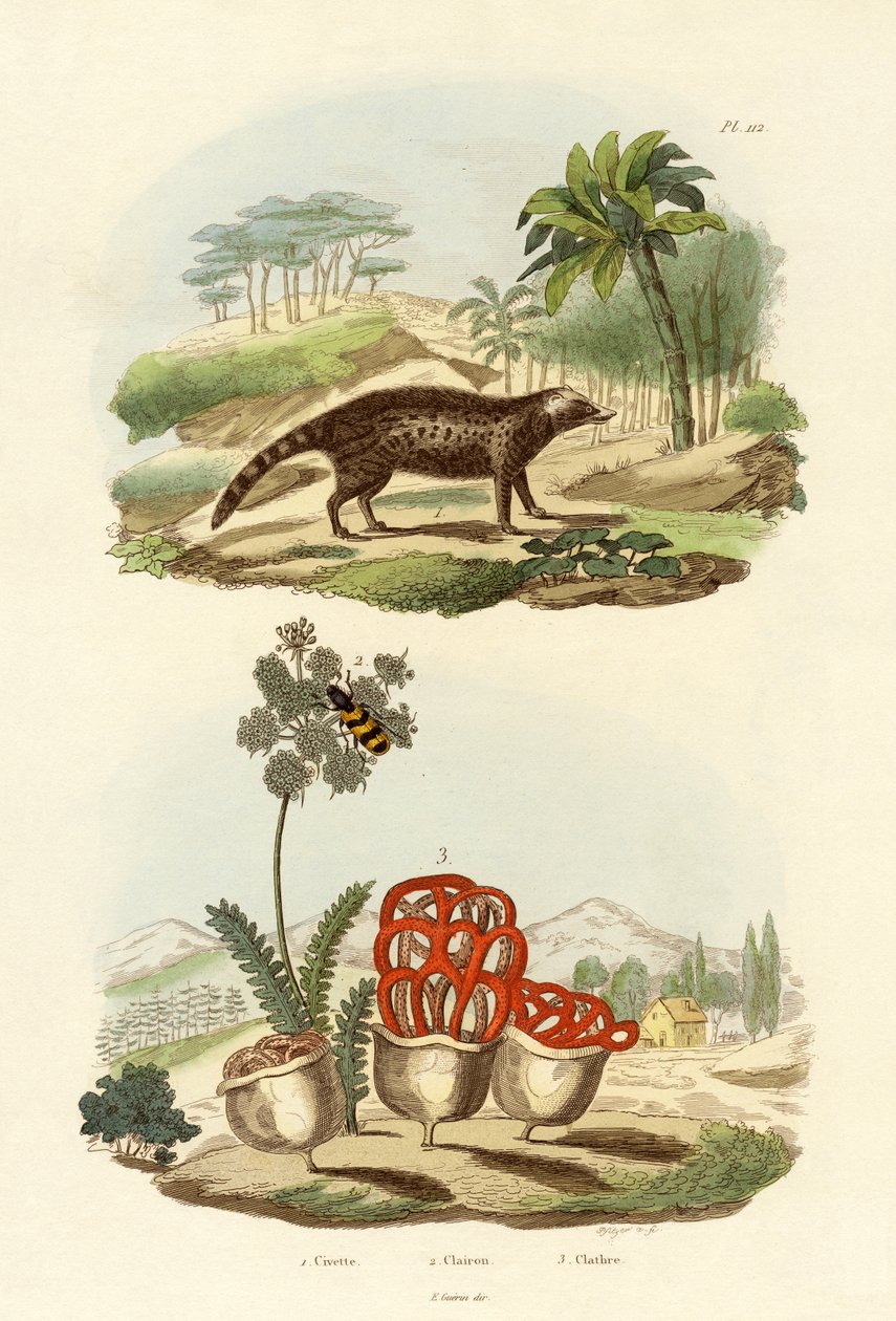 सीविट, 1833-39 द्वारा फ्रेंच स्कूल