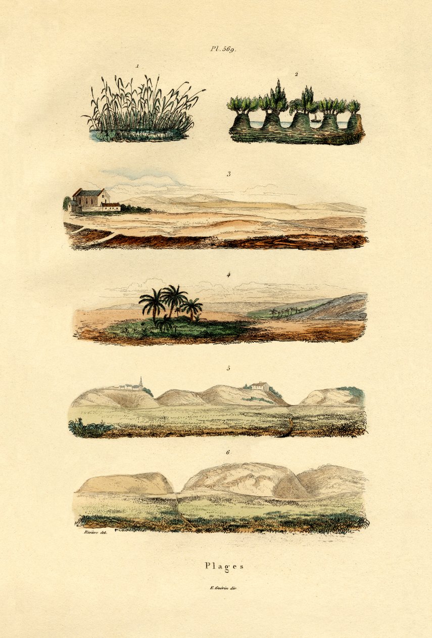 तट, 1833-39 द्वारा फ्रेंच स्कूल