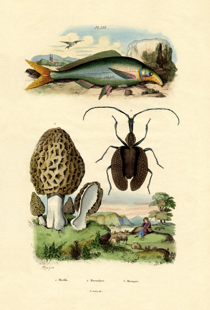 एएटेबल मोरेल, 1833-39 द्वारा फ्रेंच स्कूल