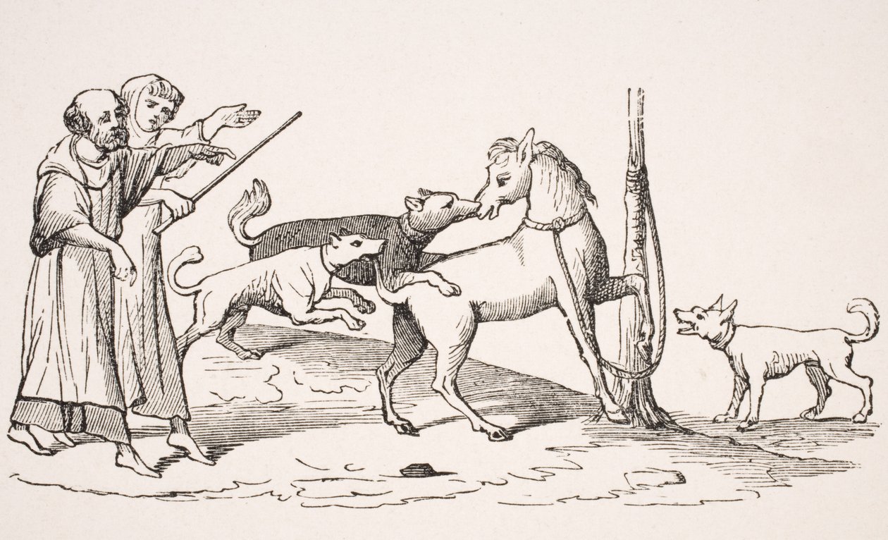 13 वीं सदी में प्रकाशित पॉल लेक्रोइक्स (1806-84) द्वारा &39;ले मोयेन एज एट ला पुनर्जागरण&39; से 13 वीं शताब्दी की पांडुलिपि में लघु और प्रजनन के घोड़े और कुत्तों के बीच लड़ाई द्वारा फ्रेंच स्कूल