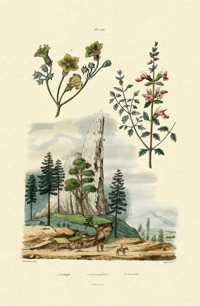 भूविज्ञान, 1833-39 द्वारा फ्रेंच स्कूल